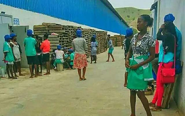 21岁非洲姑娘远嫁河南农民，公婆很满意，如今和儿子一起上幼儿园