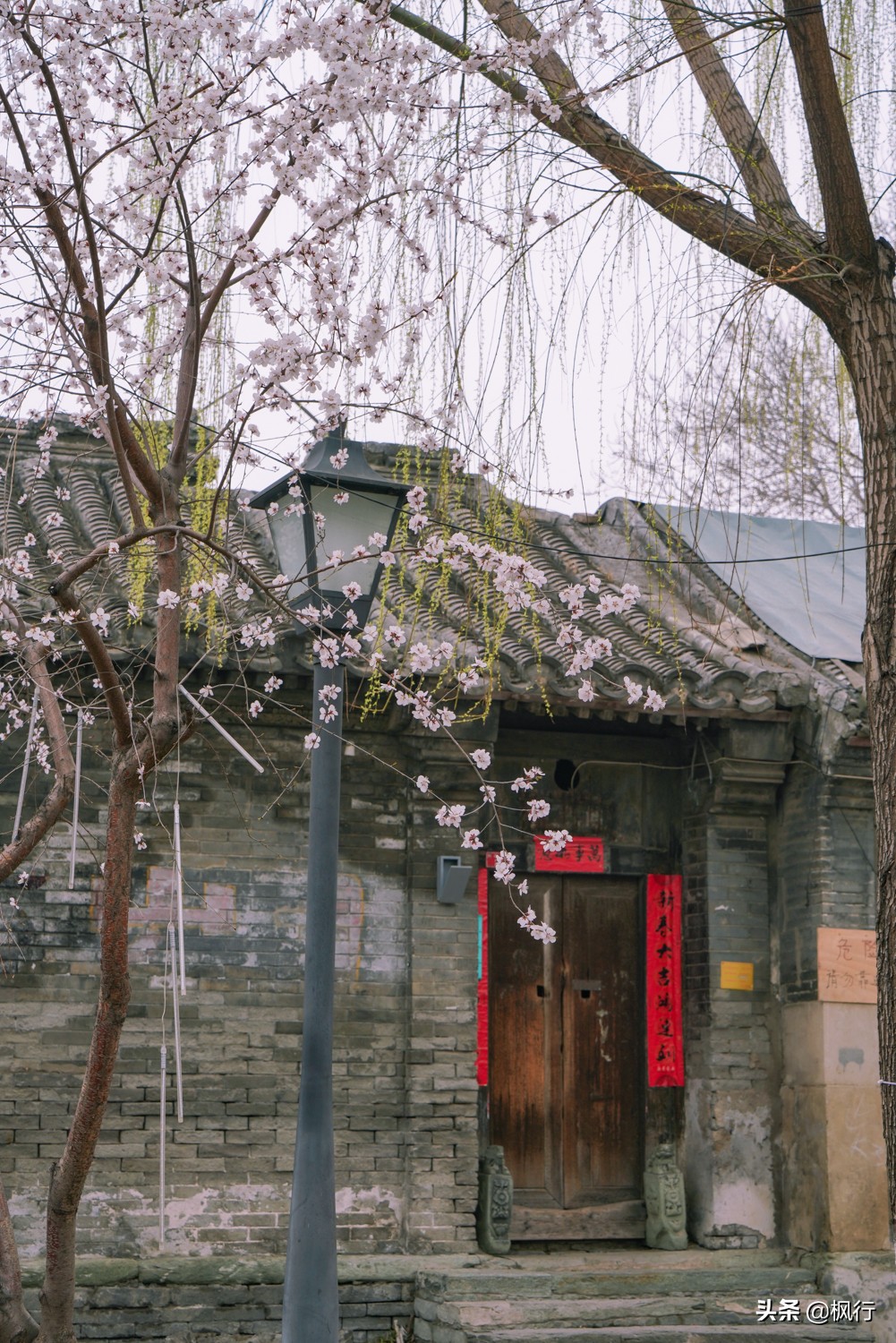 一夜之間，北京前門這個小公園，因為絕美桃花出瞭名；附拍攝攻略