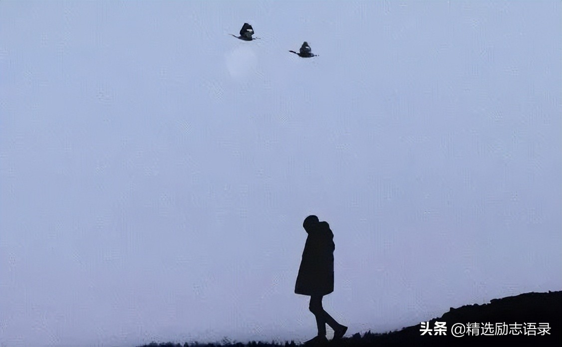 感恩一路有你，真挚友谊如光温暖我心，风雨同行，不负此生相知。