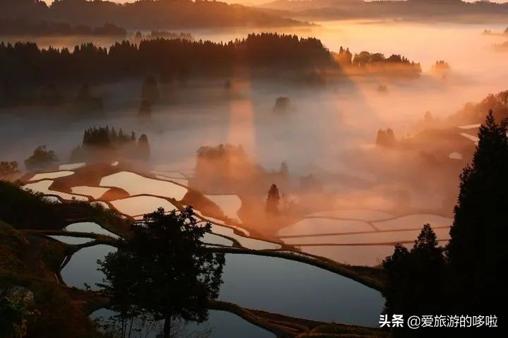 日本12处“零差评”宝藏旅行地，速度mark