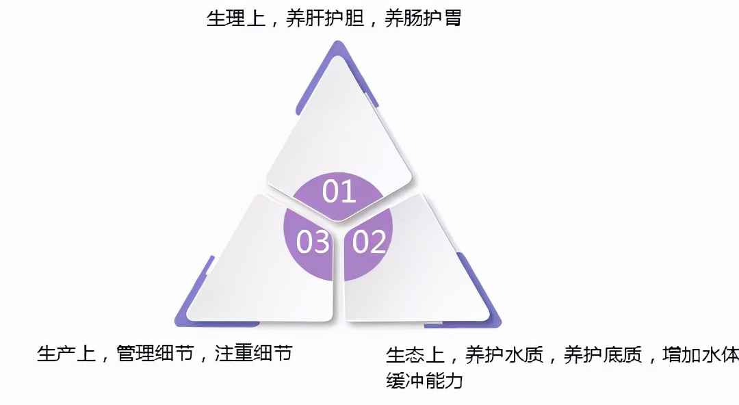 黄骨鱼养殖正在逐年增加！链球菌病危害性极大，如何有效防控