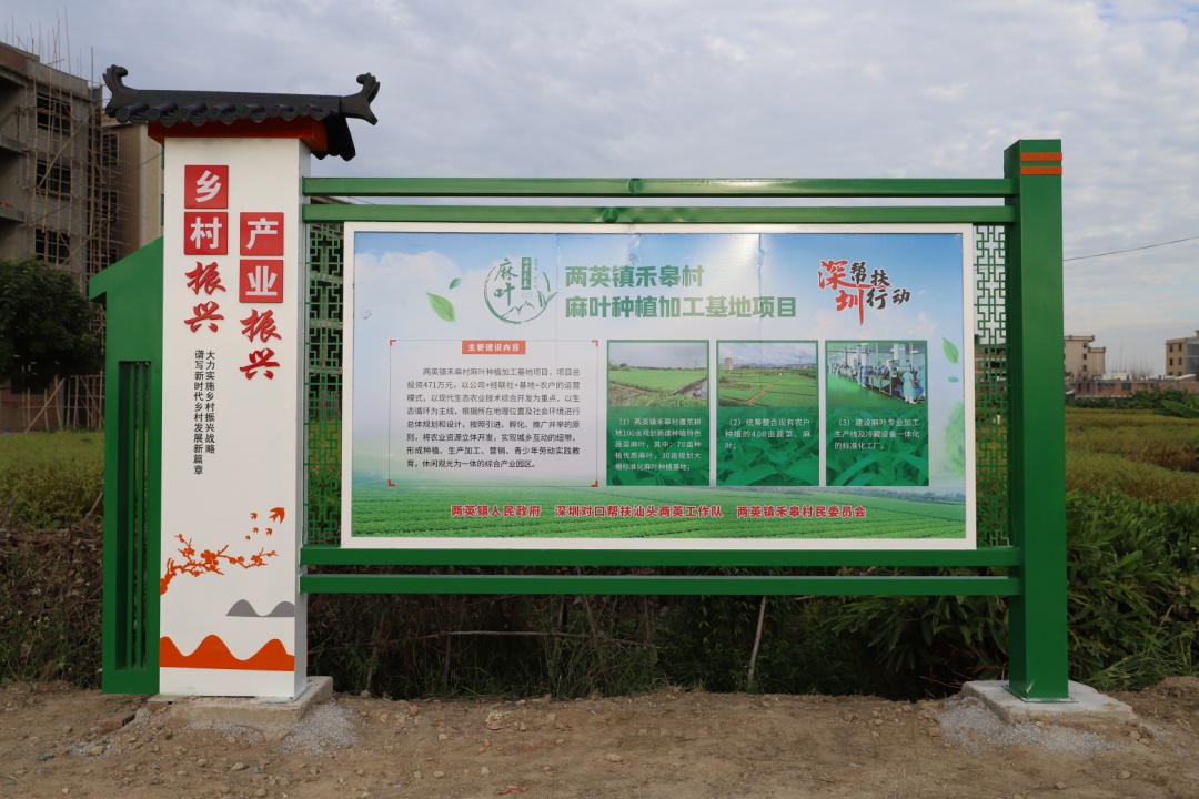 一口麻叶，邂逅潮汕盛夏的味道