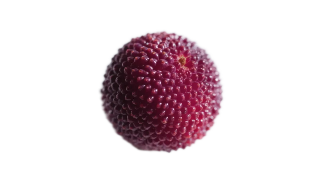 【京彩食安】杨梅有虫能吃吗？蔬果里出现“脏东西”怎么办？