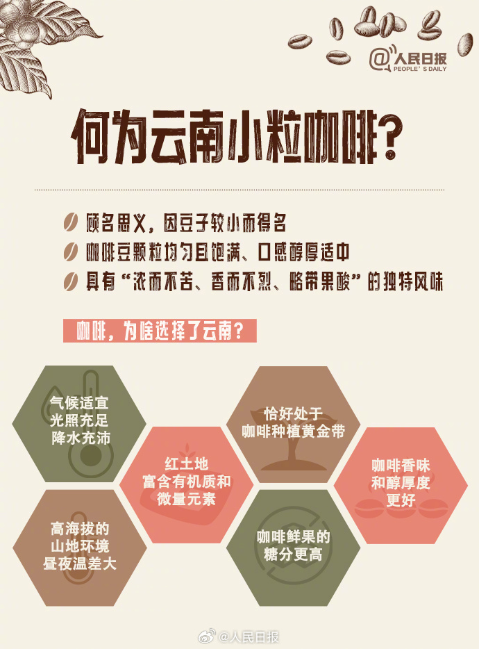 勇闯世界“咖位”！云南小粒咖啡的前世今生