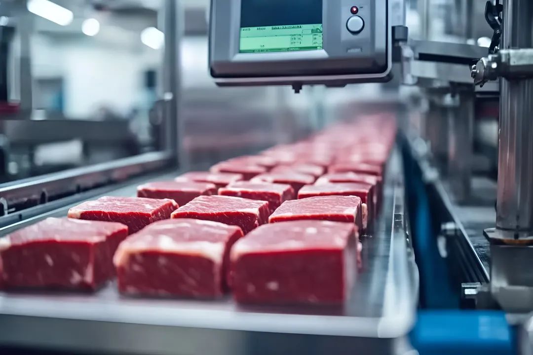 替代蛋白食品工业化发展思考丨中国工程科学