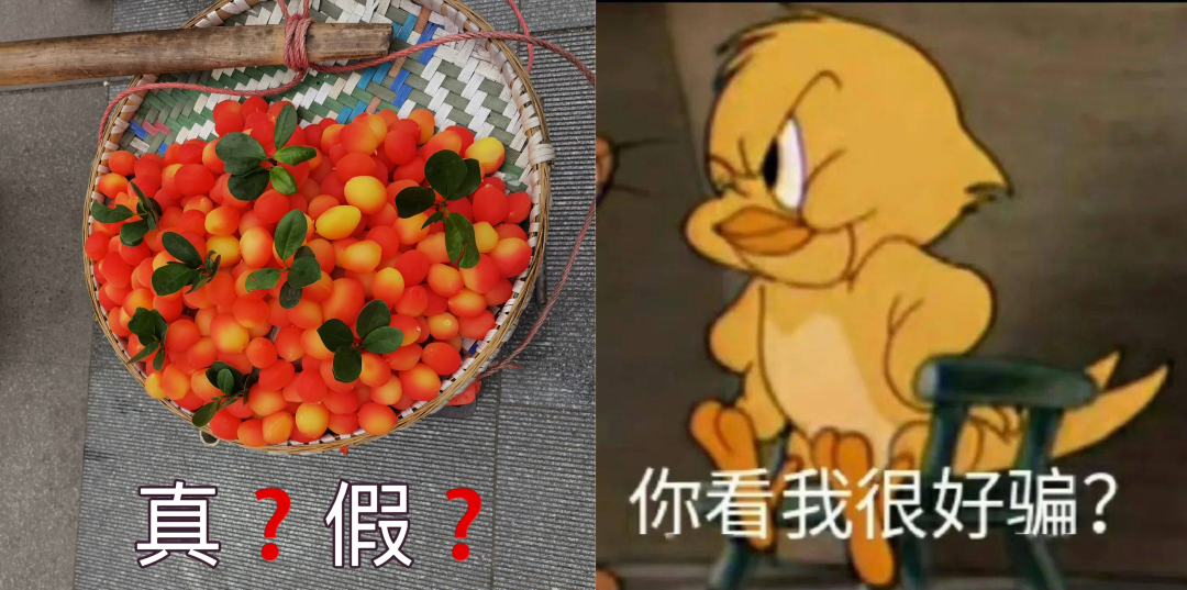 高颜值、天价“智商果”又出来骗人了，它们都是什么来头？别高价买了假水果！