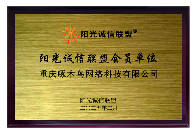 啄木鸟家庭维修黑名单制度升维至阳光诚信联盟