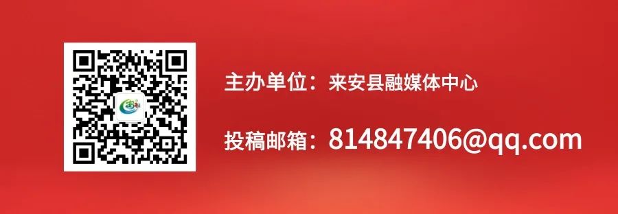农业银行无抵押贷款,