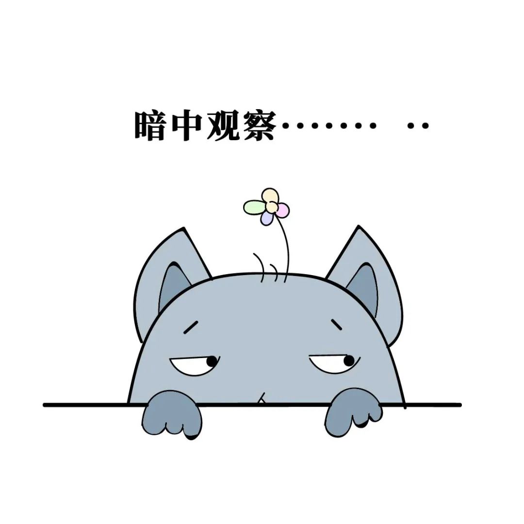 东北大学人间清醒张同学，3个问题把骗子怼到拉黑