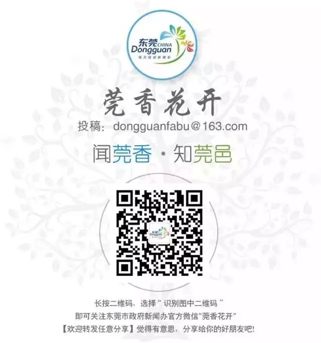 东莞交通违法查询,东莞交通违章查询系统