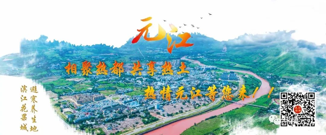元江的生日礼物，一年比一年高端精致！
