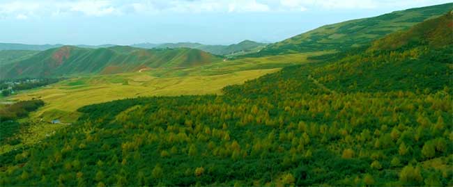 践行绿色理念 共建绿水青山