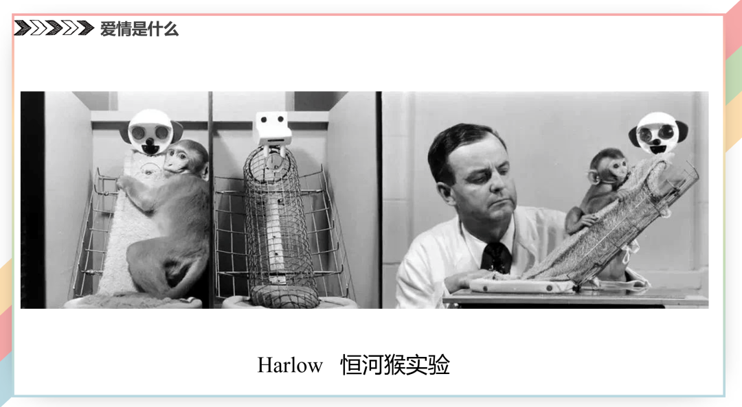 扒牆翻窗也要聽!武大戀愛講座第二彈出筆記了,PPT公開 找老婆 第12張-戀愛小秘書-娜米 扒牆翻窗也要聽!武大戀愛講座第二彈出筆記了,PPT公開 找老婆 第12張