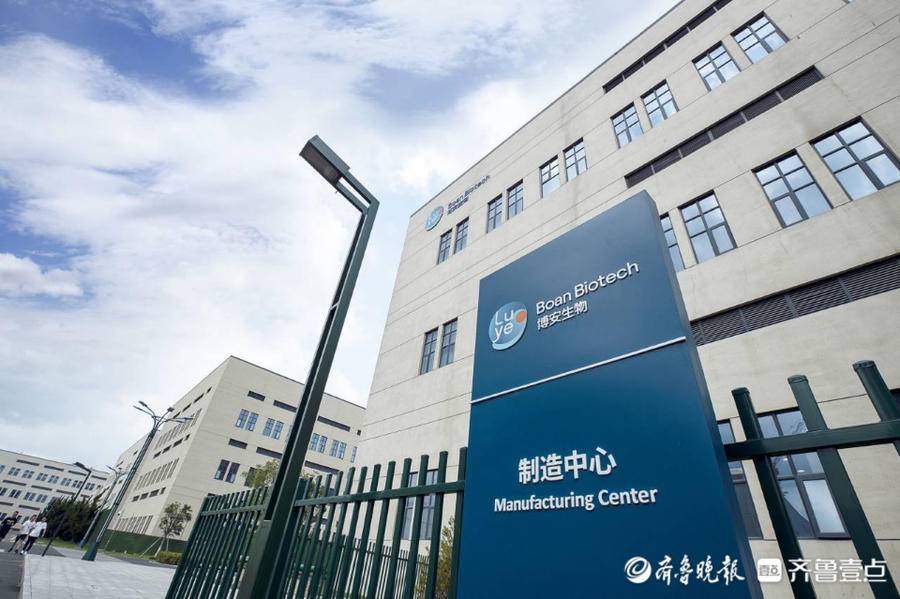 烟台高新区：加快生物医药产业链建设，构建产业垂直生态体系