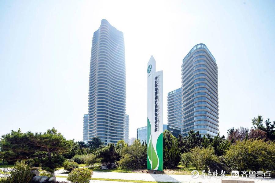 烟台高新区：加快生物医药产业链建设，构建产业垂直生态体系