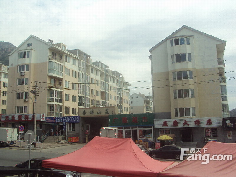 杏花里 VS 杏林山庄在金州谁更胜一筹？