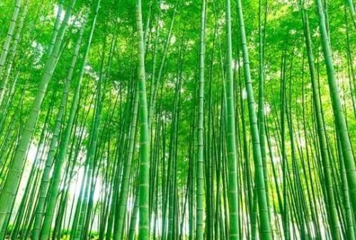 让人受益终生的十句古训