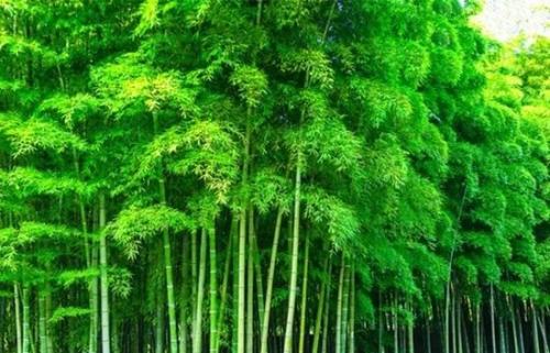 让人受益终生的十句古训