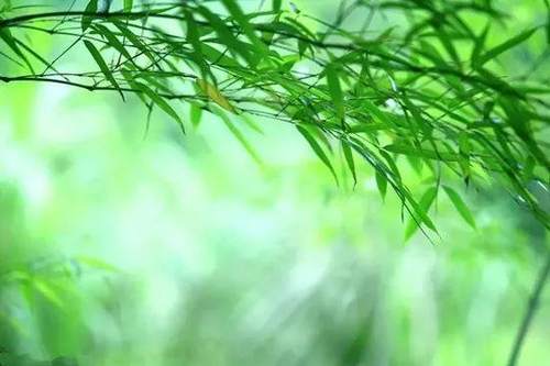 让人受益终生的十句古训