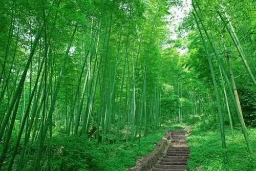 让人受益终生的十句古训