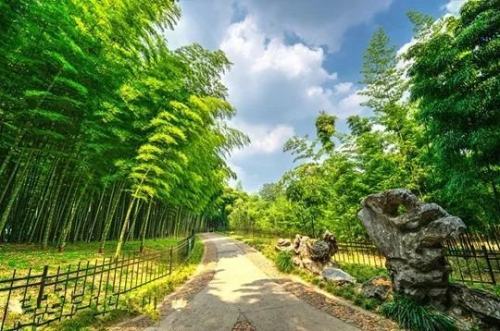 让人受益终生的十句古训