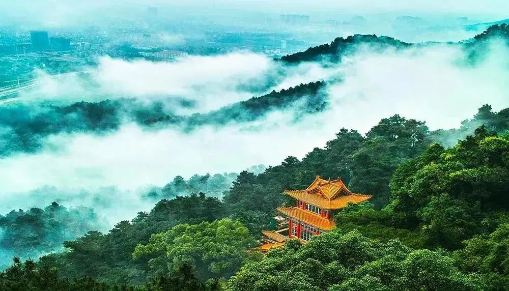 广西4地上榜2021中国旅游百强县市！其中这个地方进入全国前十……
