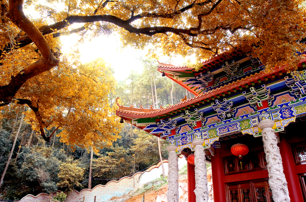 广西4地上榜2021中国旅游百强县市！其中这个地方进入全国前十……