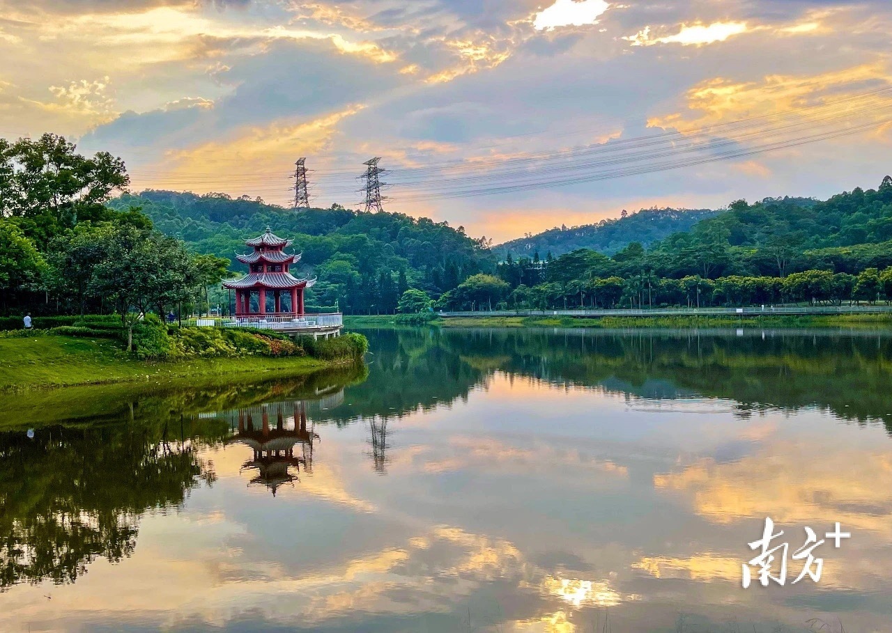 南方观察｜奏响文明创建交响乐，龙岗绘就“品质之城”最亮底色