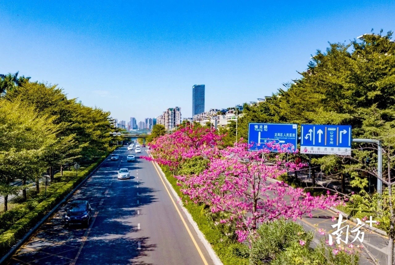 南方观察｜奏响文明创建交响乐，龙岗绘就“品质之城”最亮底色