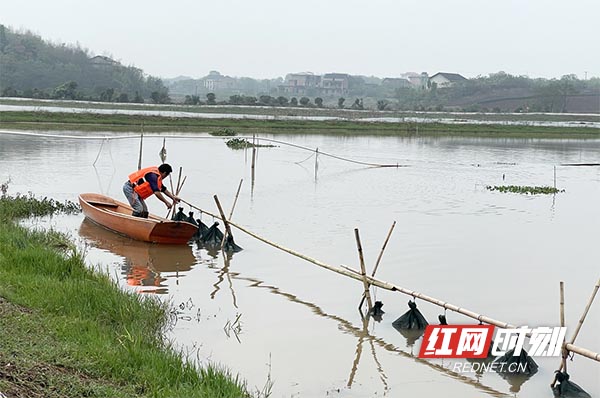 衡阳县：本地大闸蟹上市 乡村致富有新招