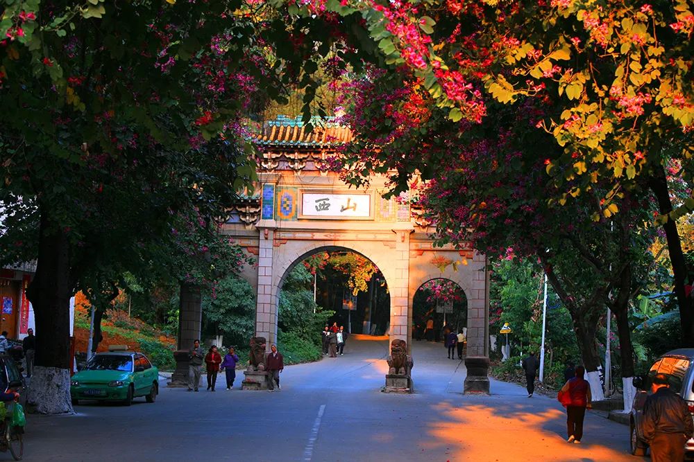 广西4地上榜2021中国旅游百强县市！其中这个地方进入全国前十……