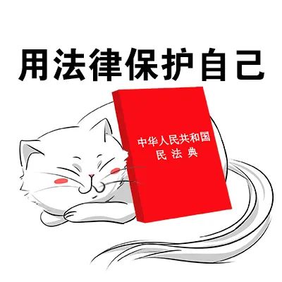 从出生到年老，宪法和你的一生有啥关系？｜国家宪法日