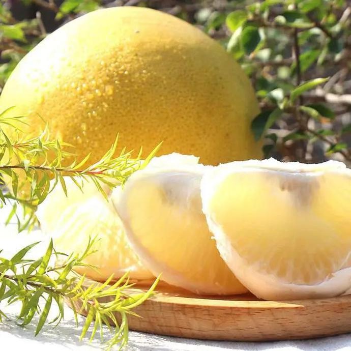 “柚中之王”——沙田柚