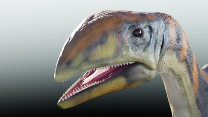 科学家发现2.14亿年前生活在格陵兰岛的新恐龙物种-第1张图片-IT新视野