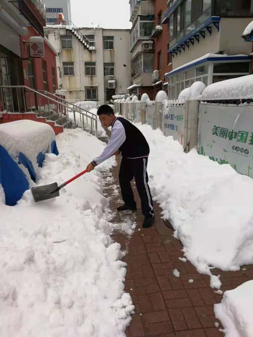 瀋陽市第九中學學子走出家門義務掃雪(圖9)