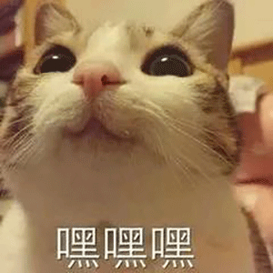 访问GitHub还在转圈圈吗？快上车！让你加速到飞起