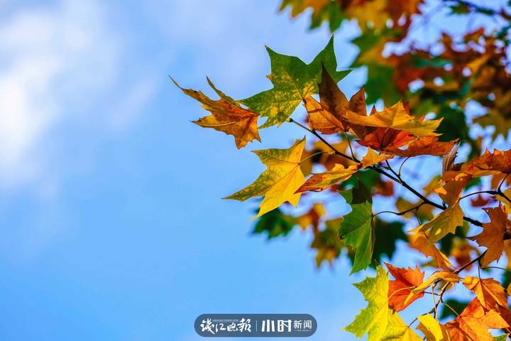 秋天是一首诗一幅画补充句子（秋天的一幅画怎么写）