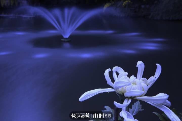 秋天是一首诗一幅画补充句子（秋天的一幅画怎么写）