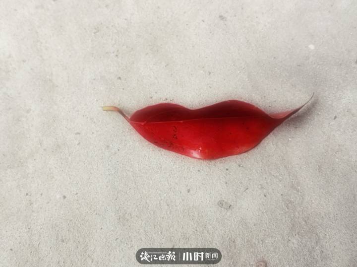 秋天是一首诗一幅画补充句子（秋天的一幅画怎么写）