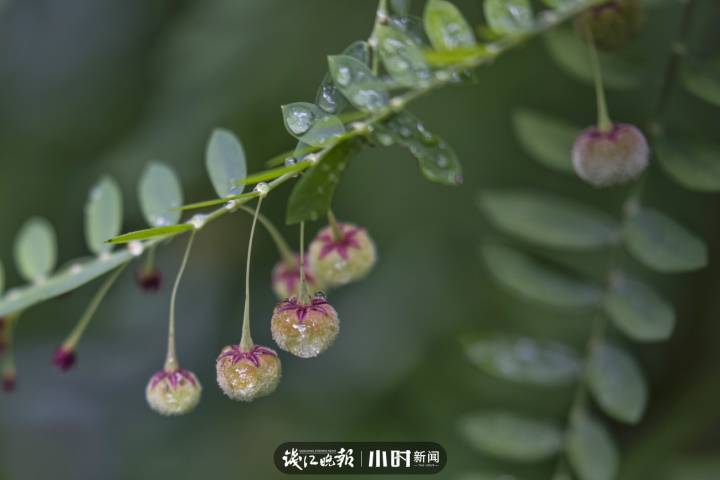 秋天是一首诗一幅画补充句子（秋天的一幅画怎么写）