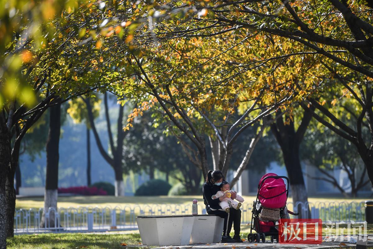 第一个冬天阳光灿烂的日子，树木被休闲覆盖