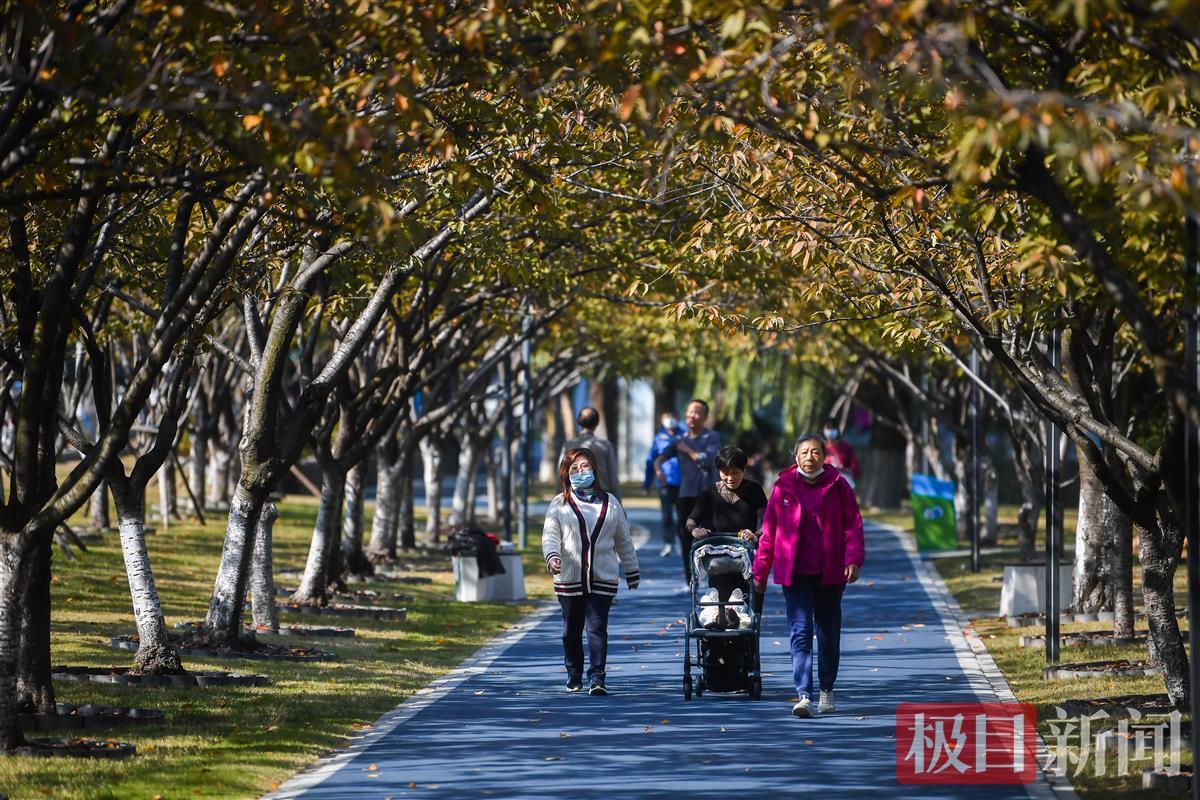 第一个冬天阳光灿烂的日子，树木被休闲覆盖