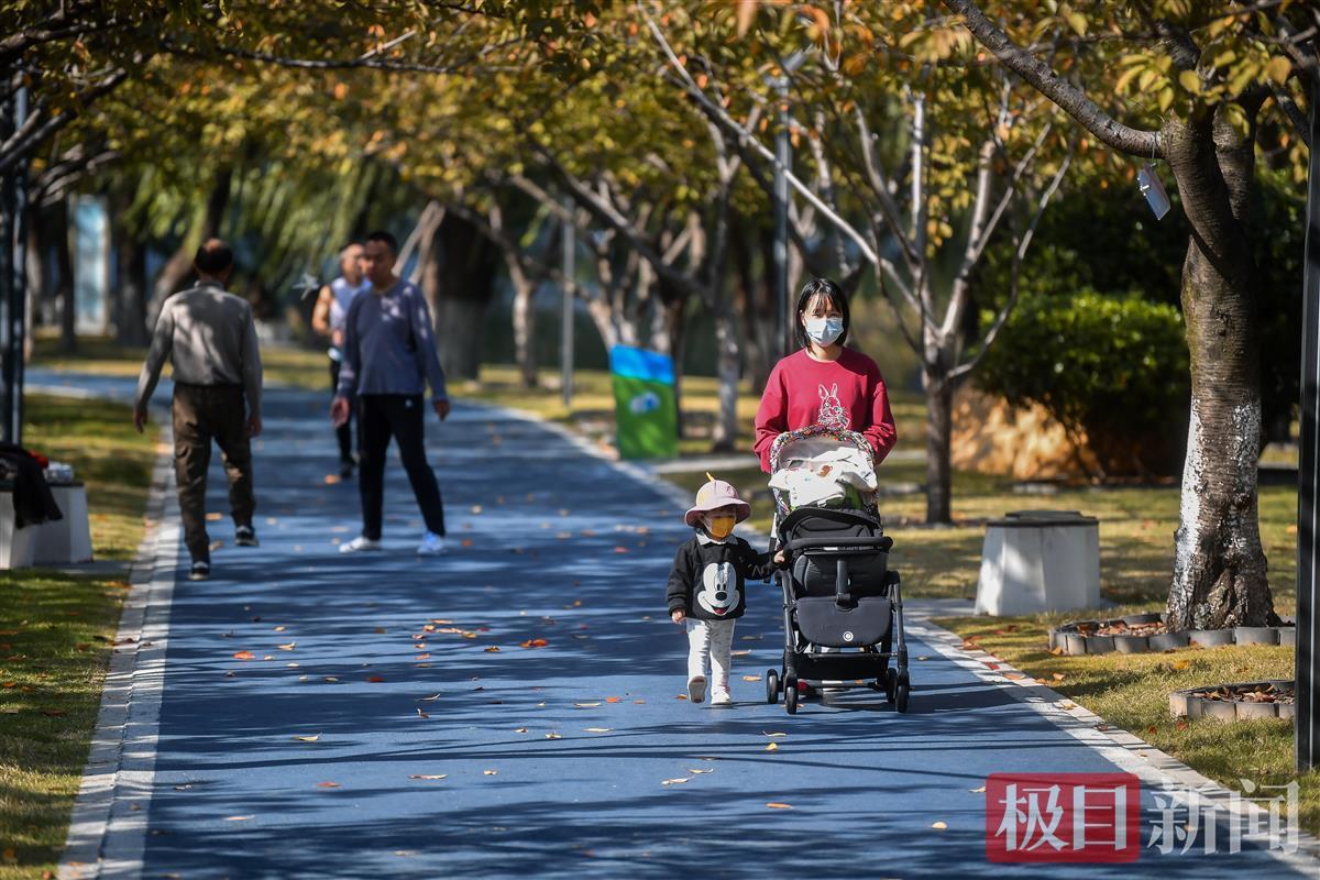 第一个冬天阳光灿烂的日子，树木被休闲覆盖