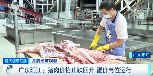 蔬菜價(jià)格8連降！豬肉價(jià)格大幅反彈，怎么回事？年底價(jià)格怎么走