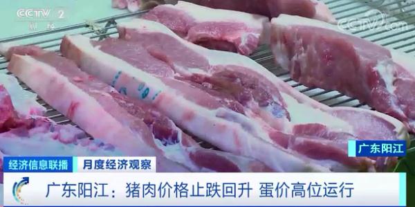 蔬菜價(jià)格8連降！豬肉價(jià)格大幅反彈，怎么回事？年底價(jià)格怎么走