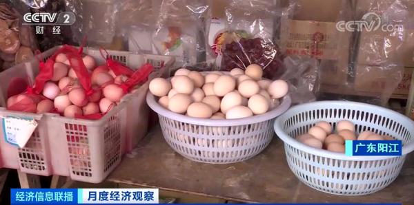 蔬菜價(jià)格8連降！豬肉價(jià)格大幅反彈，怎么回事？年底價(jià)格怎么走