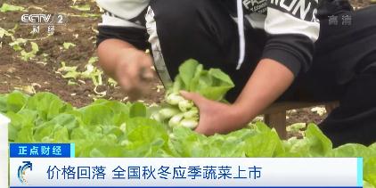 蔬菜價格8連降！豬肉價格大幅反彈，怎么回事？年底價格怎么走