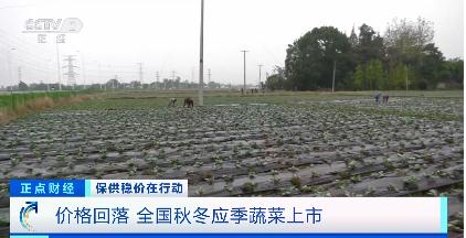 蔬菜價(jià)格8連降！豬肉價(jià)格大幅反彈，怎么回事？年底價(jià)格怎么走