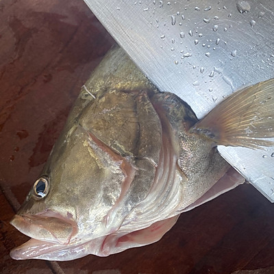 松鼠鱖魚,松鼠桂魚是哪里的菜