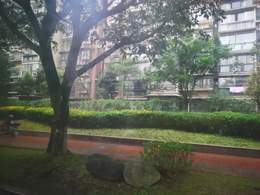 今天凌晨，南充发射20枚火箭弹…
